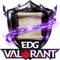 EDG无畏契约分部战队队标Logo